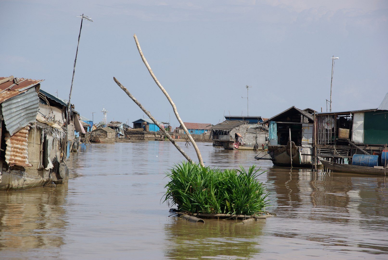 Tonle Sap und ein Garten