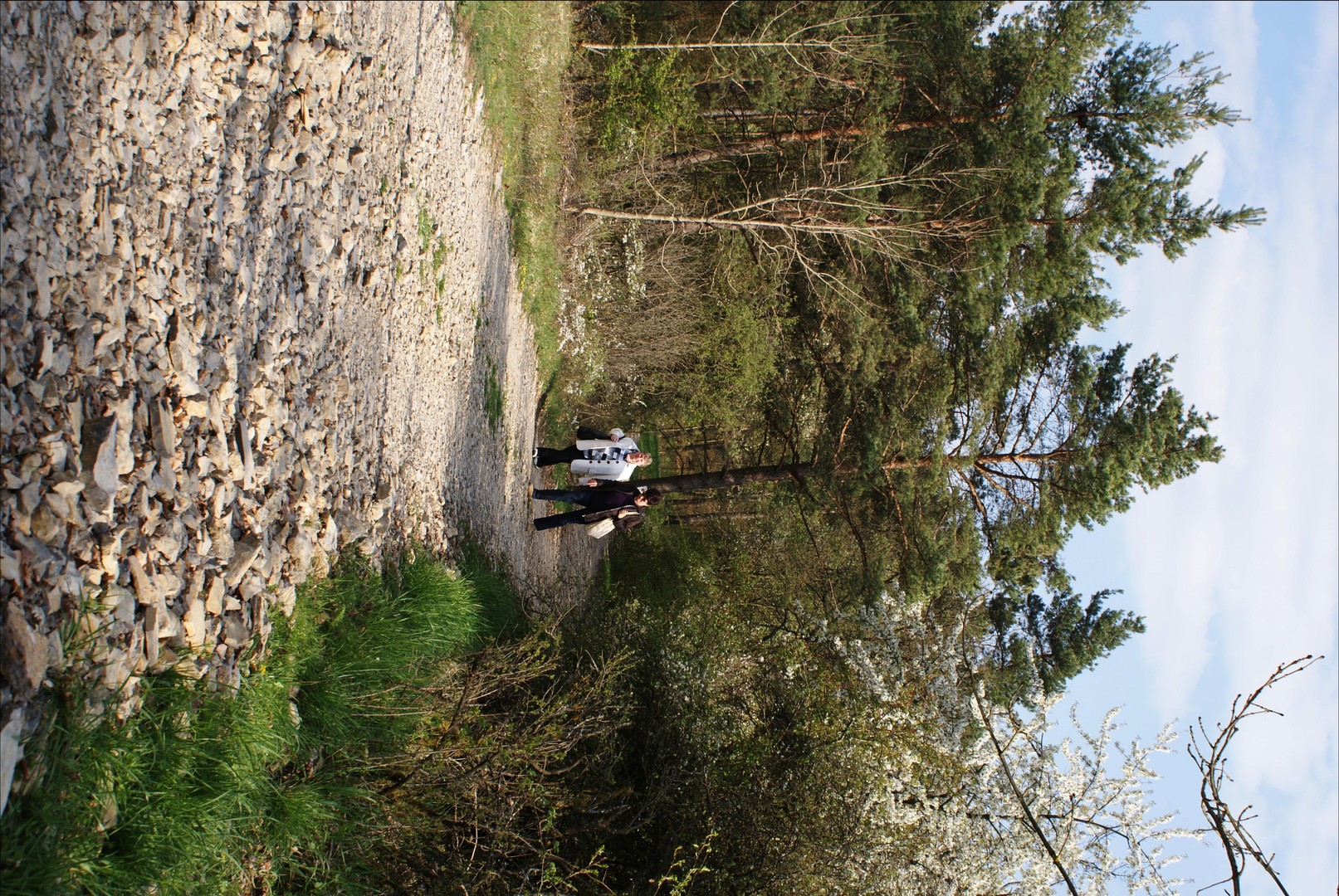 Waldsaziergang