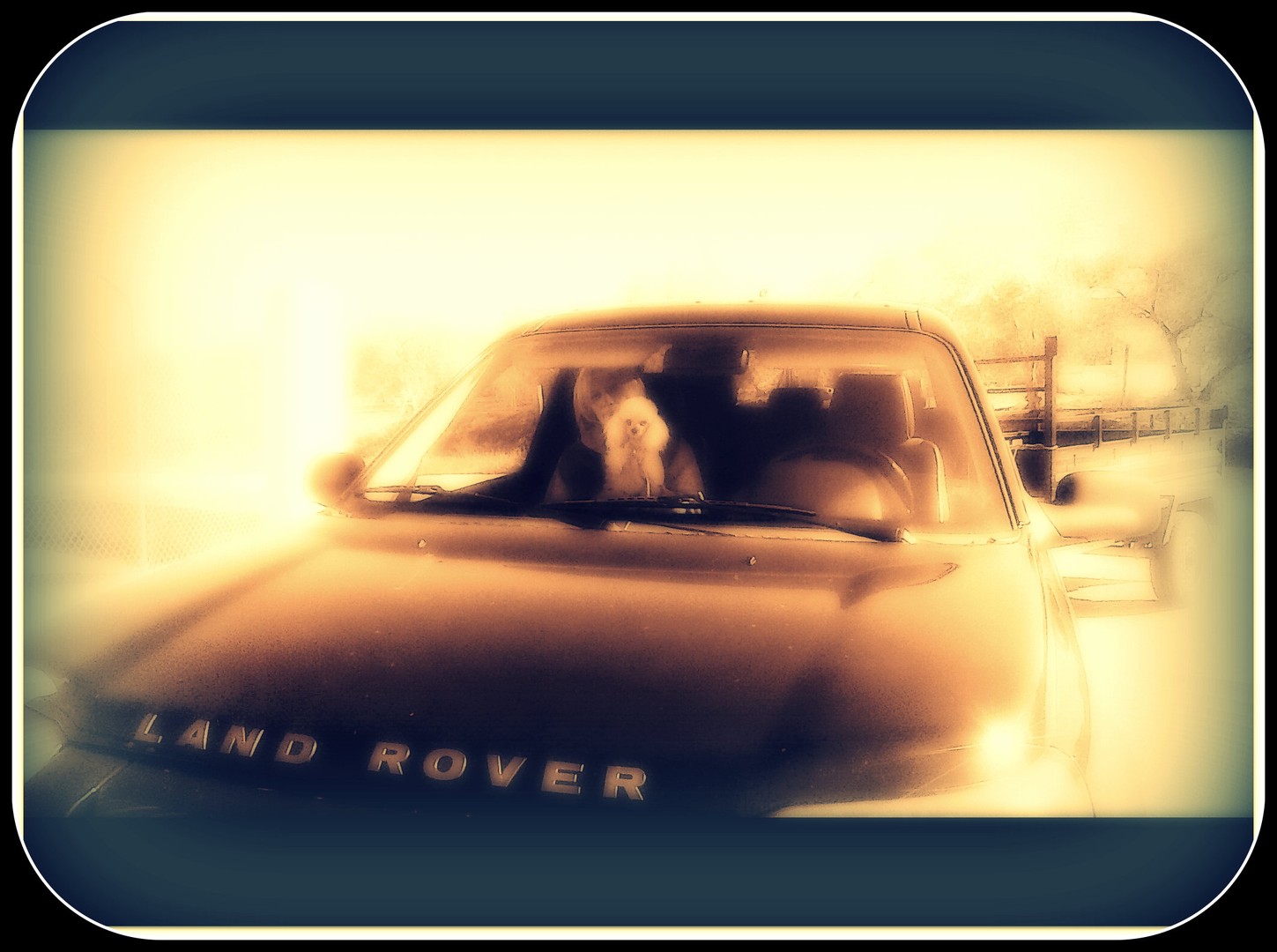 kissy  comprando heno para los caballos