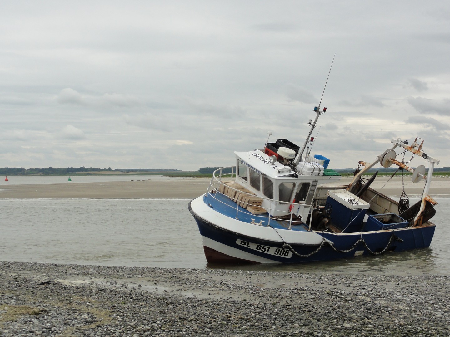 les phoques en baie de Somme
