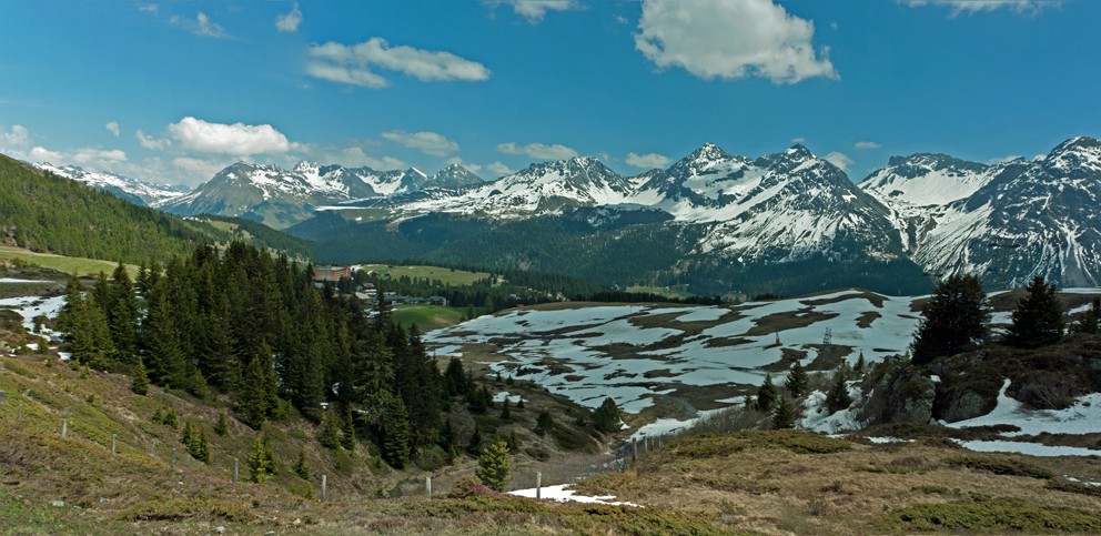 Frühling ob Arosa