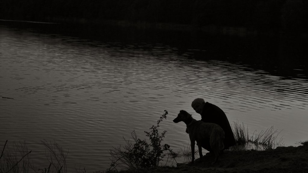 Der alte Mann und sein Hund