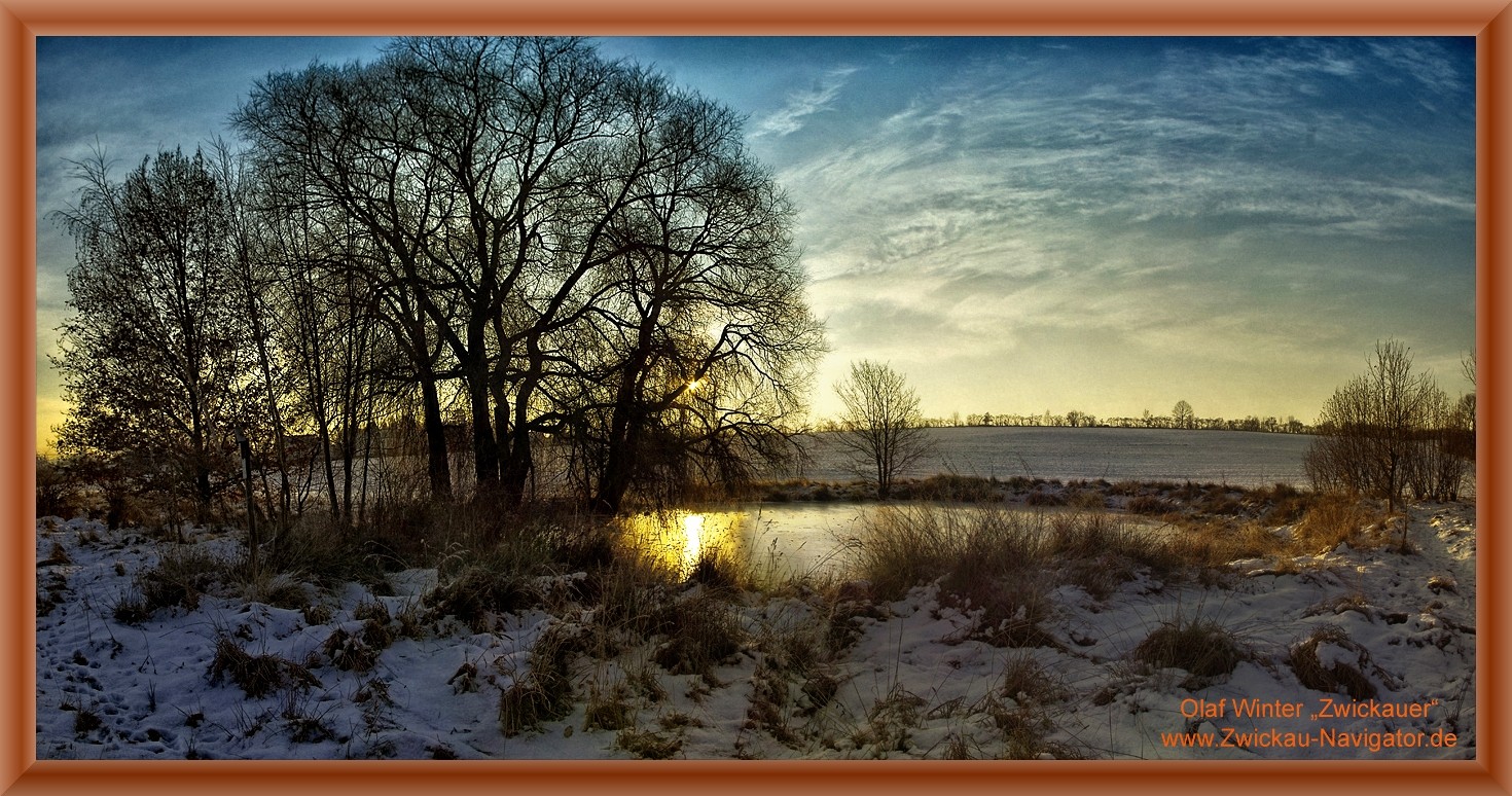 Biotop Libellenteich in ZwicKau Weißenborn