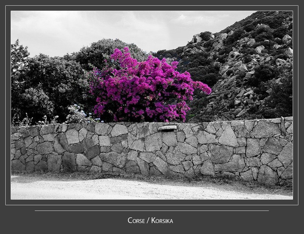 Corse / Korsika