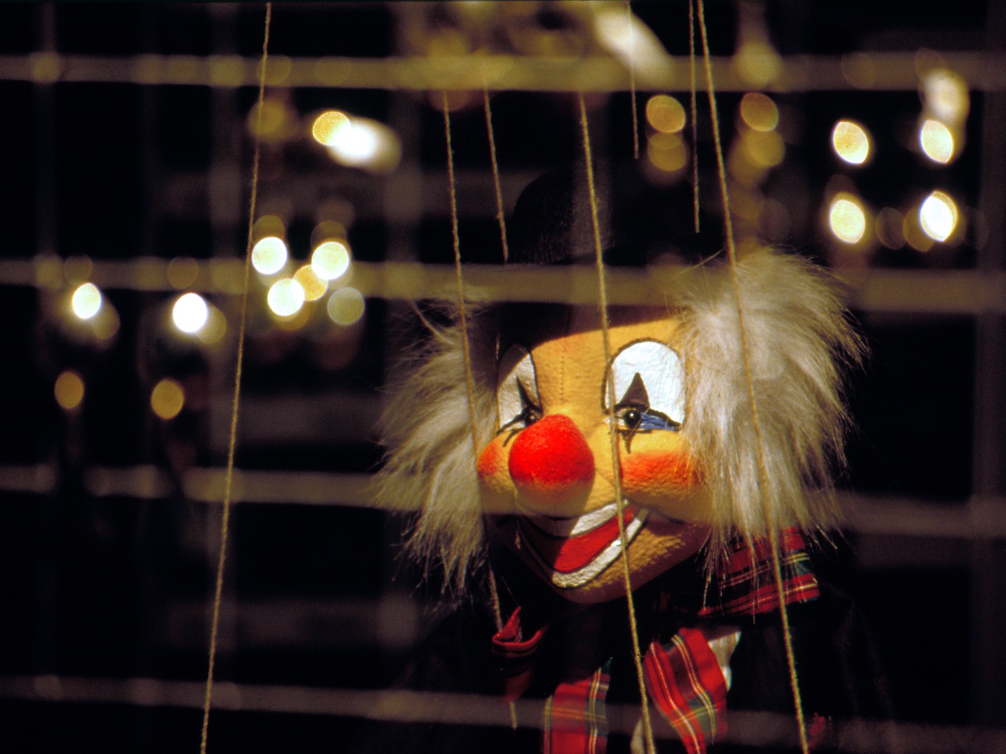 im schaufenster