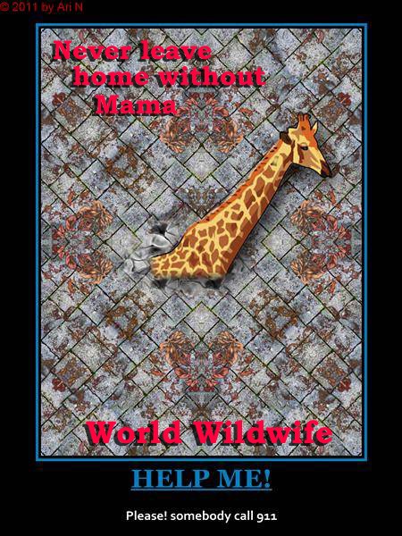 World Wildwife Giraffe Poster