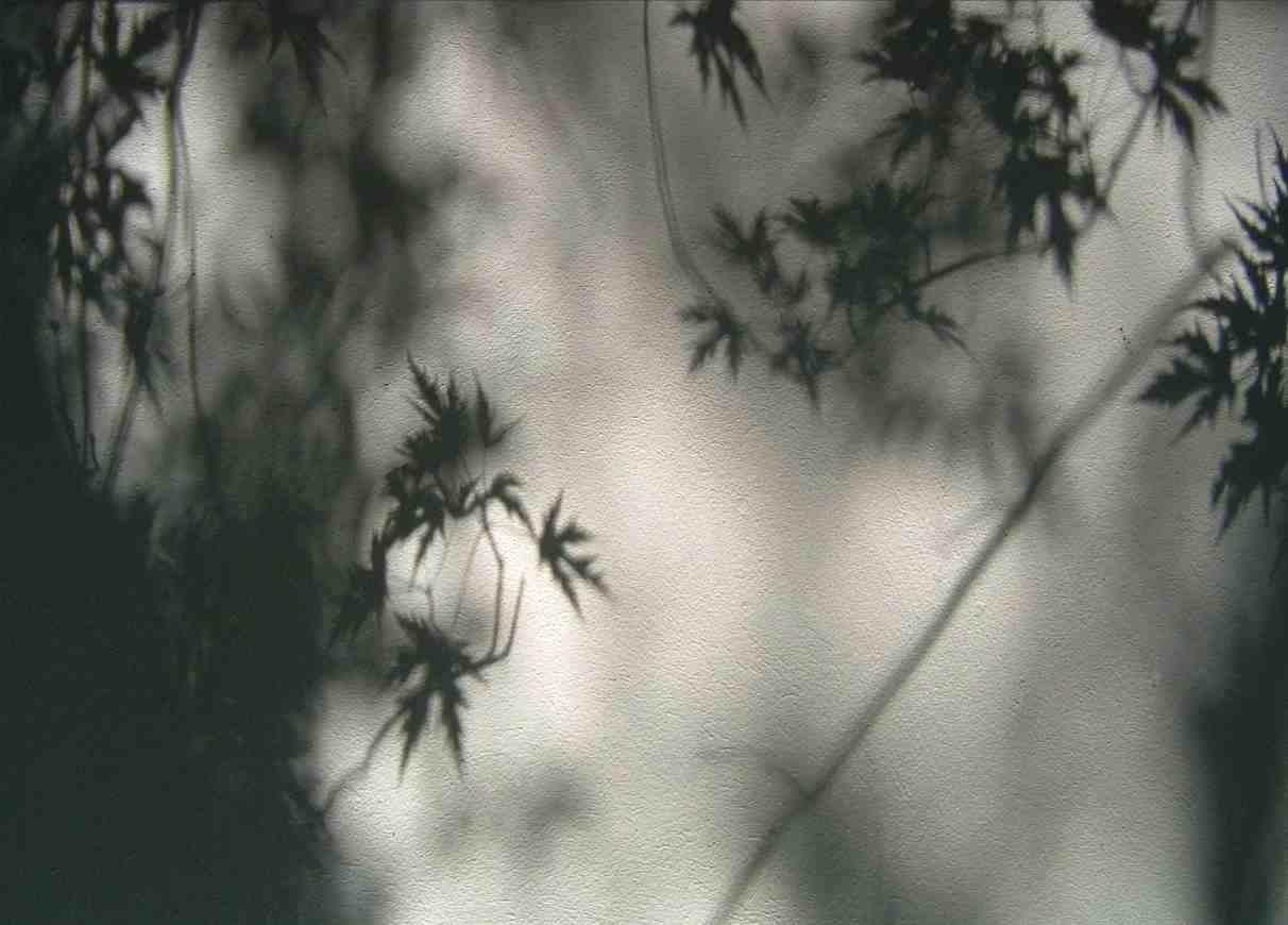 Schattenspiel