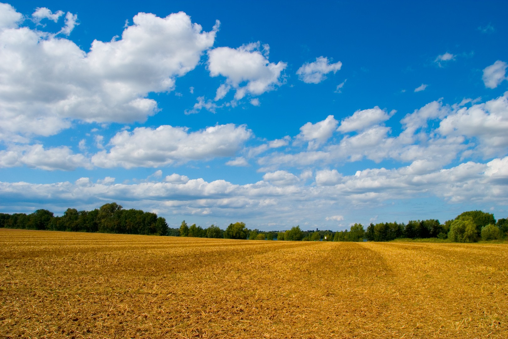 Alles abgeerntet, kommt der  Herbst