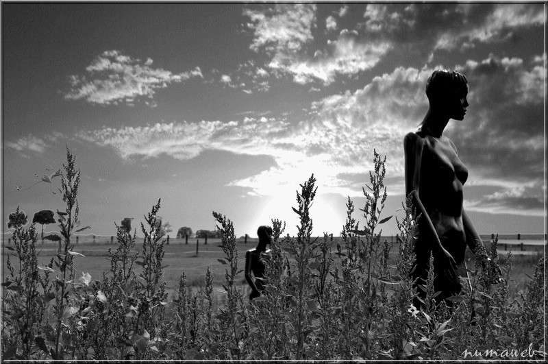 La campagne