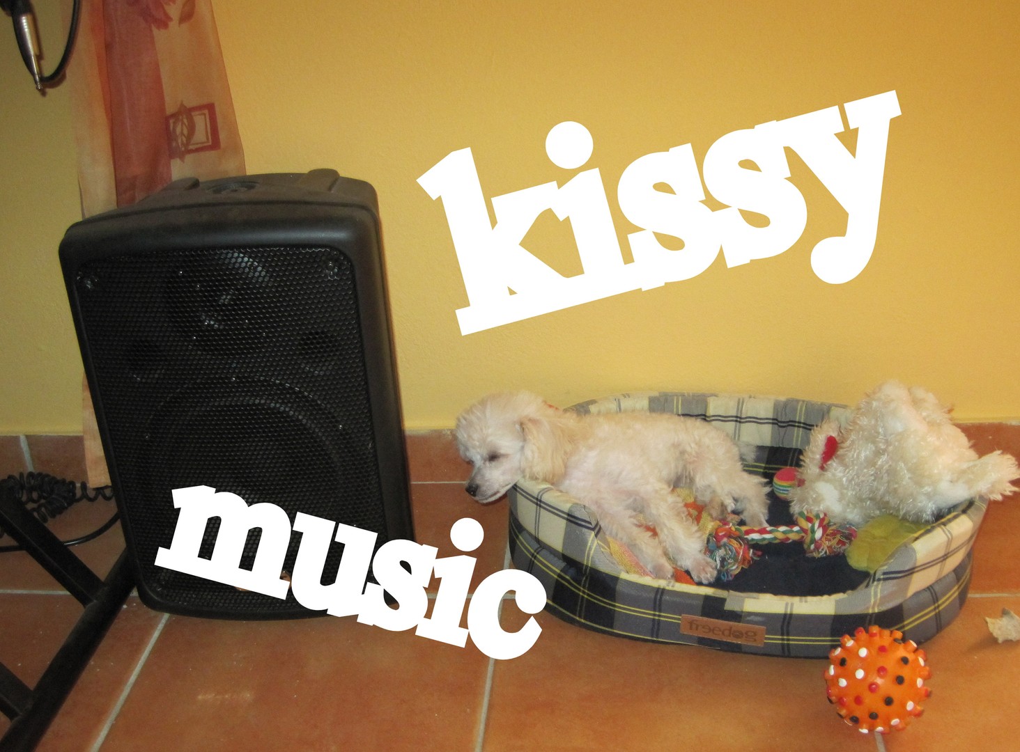 kissy