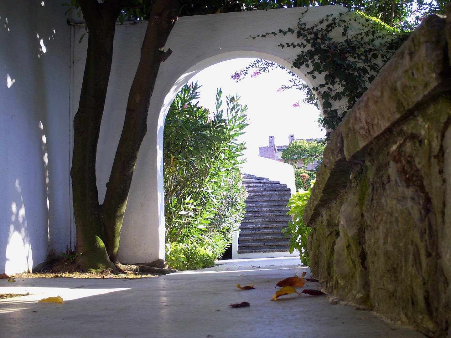 Die Stille der Natur