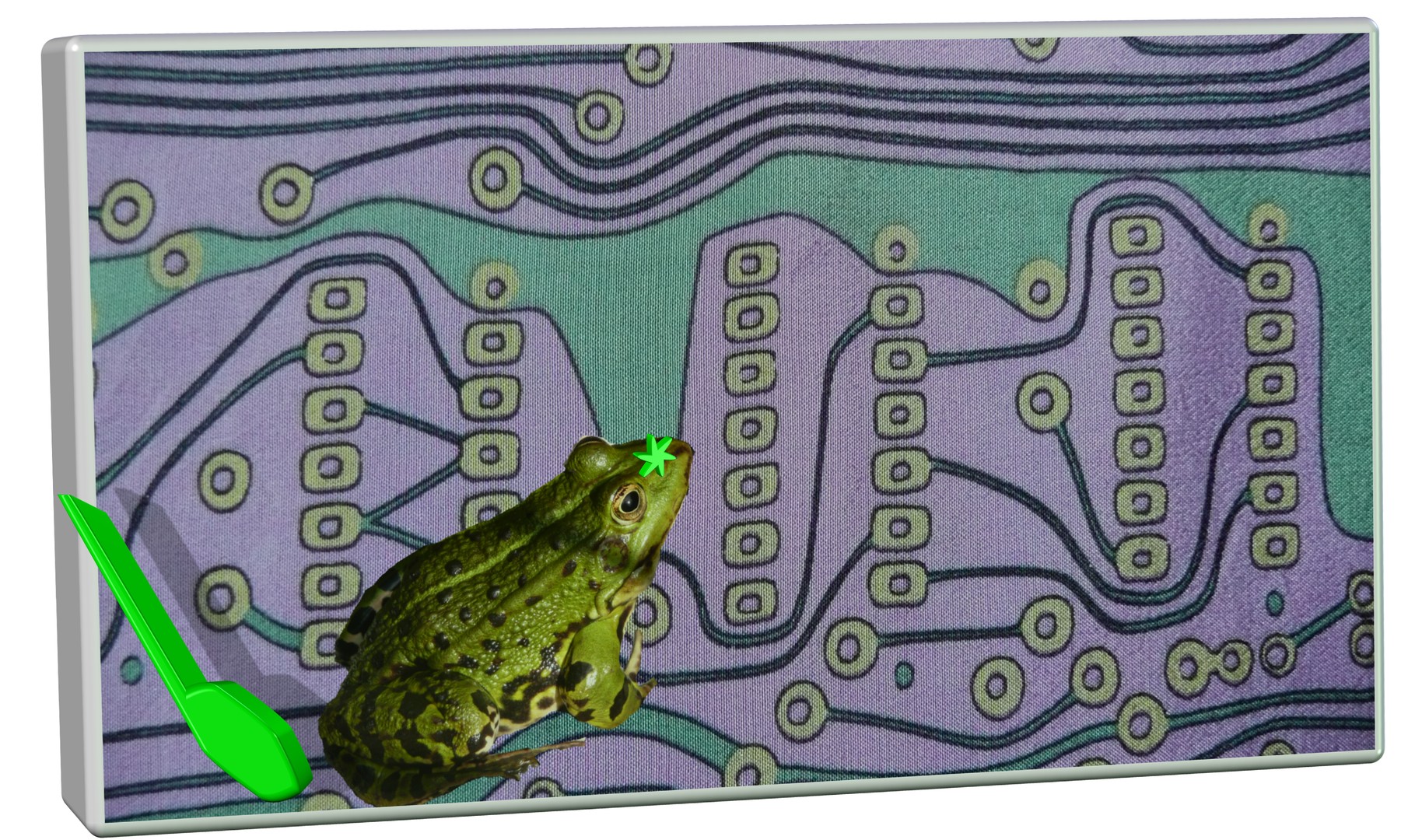 Leiterplatte mit Frosch