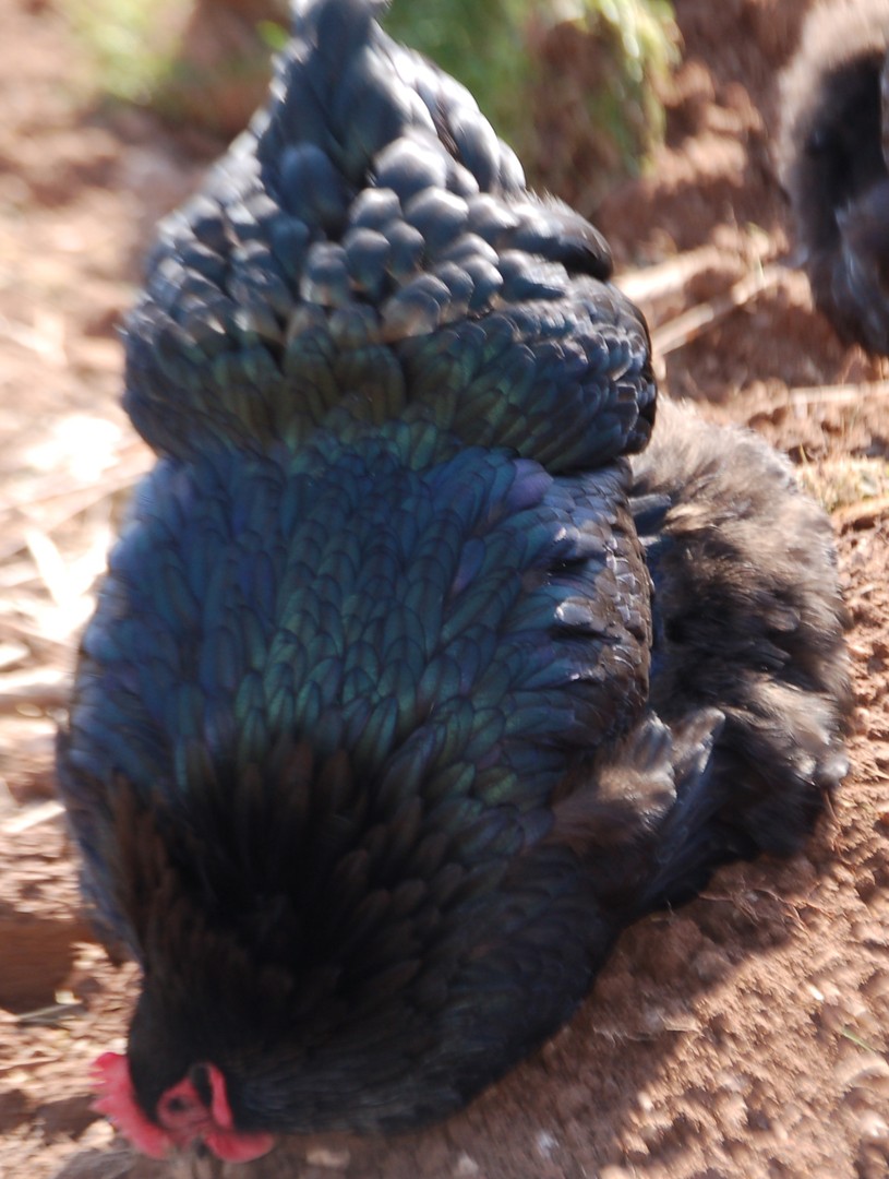 Da ist der Wurm