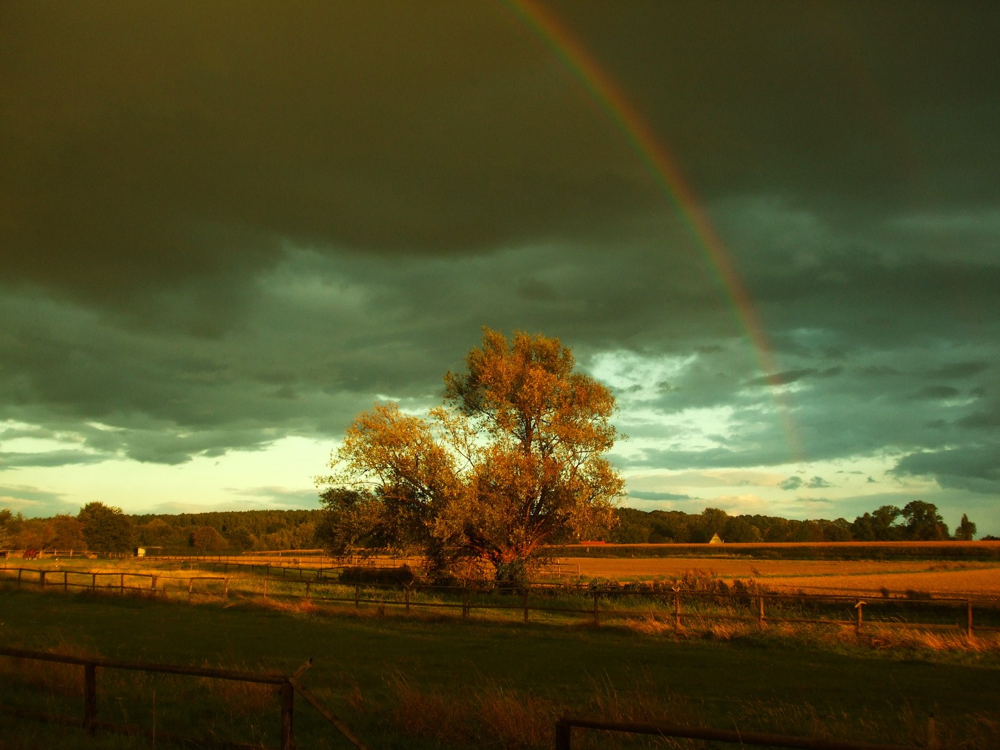 Rainbow Sunset