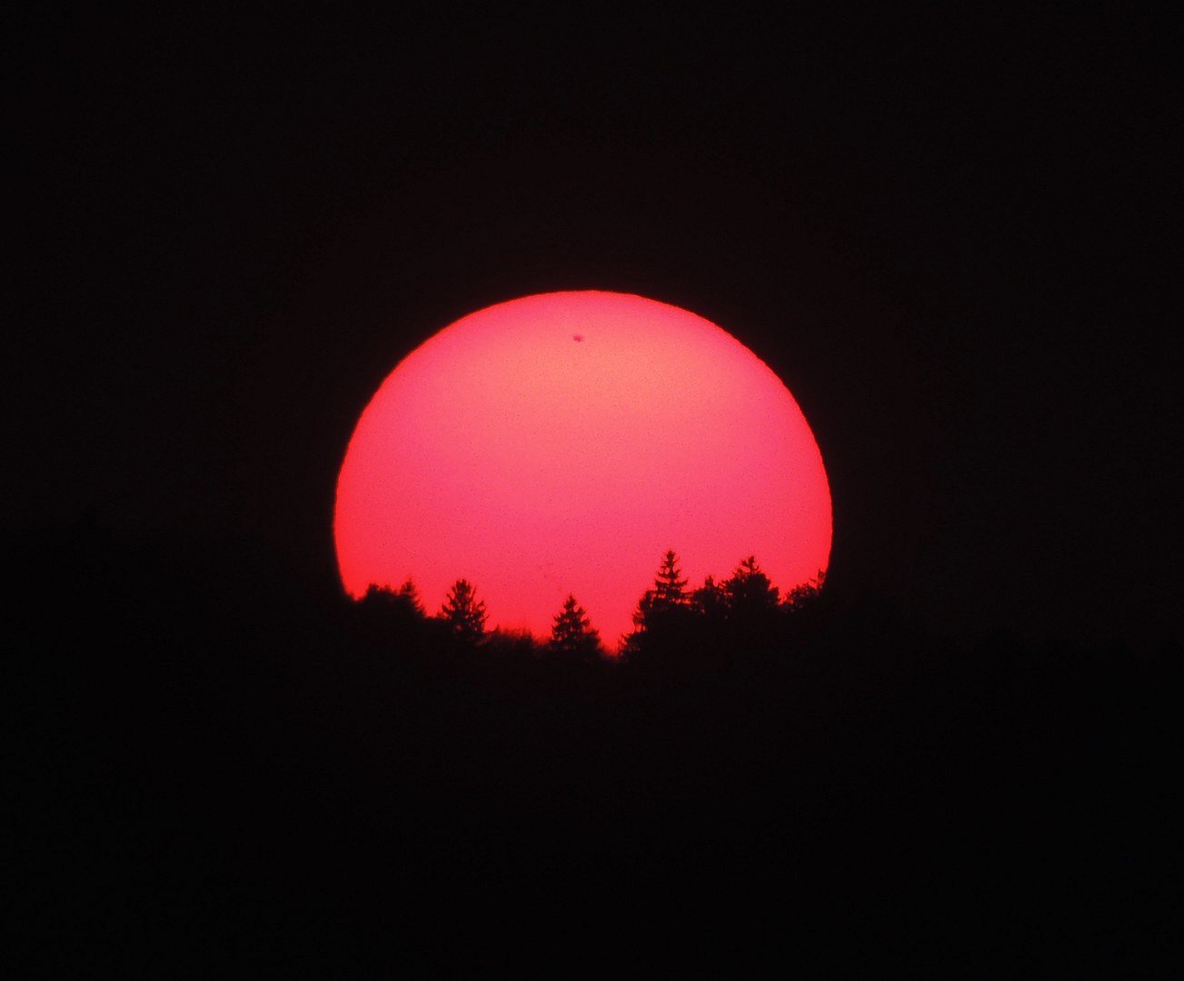 sun dance