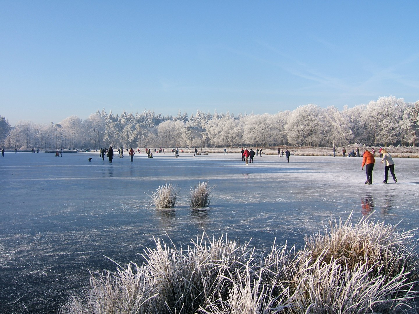 Schaatsfestijn in het natuurgebied bij paleis Soestdijk