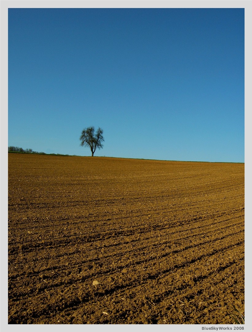 Zwischen Himmel und Erde