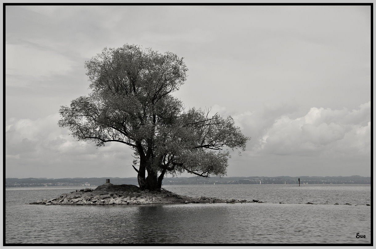 Stille am Bodensee