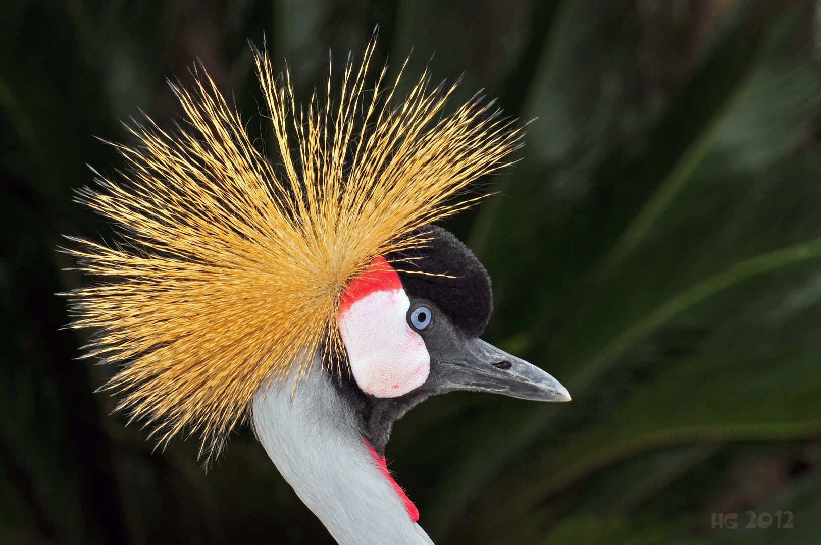 September fotos 2012