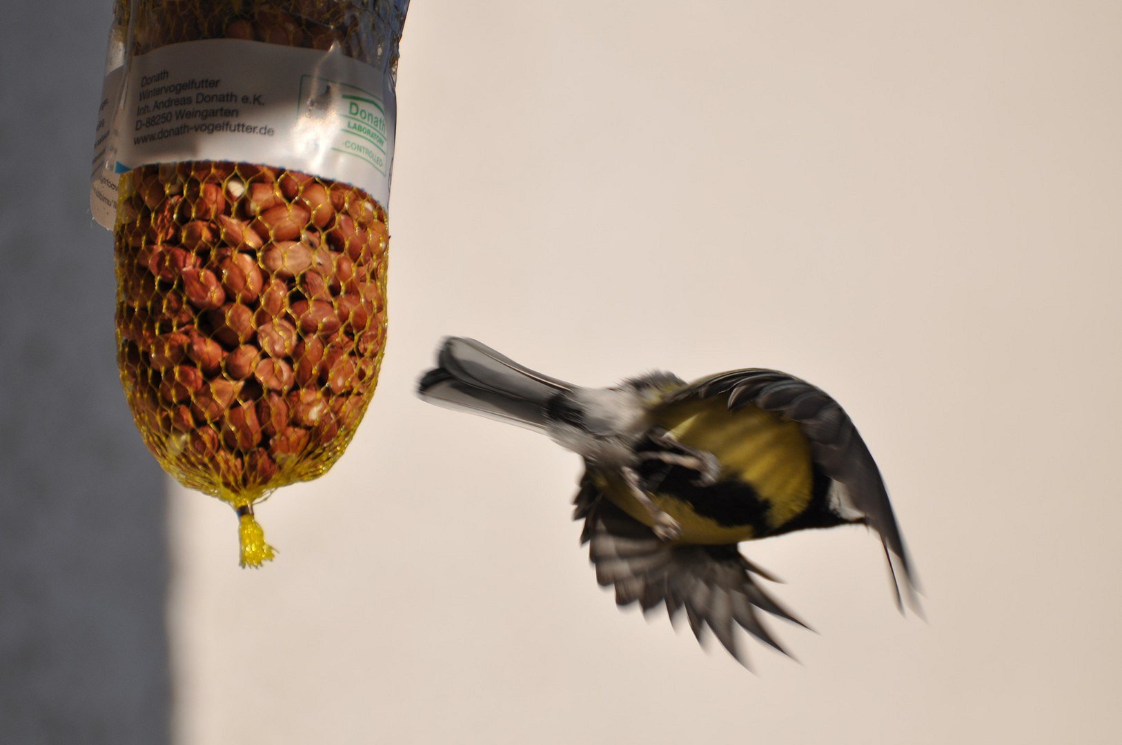 Wegflug vom guten Essen