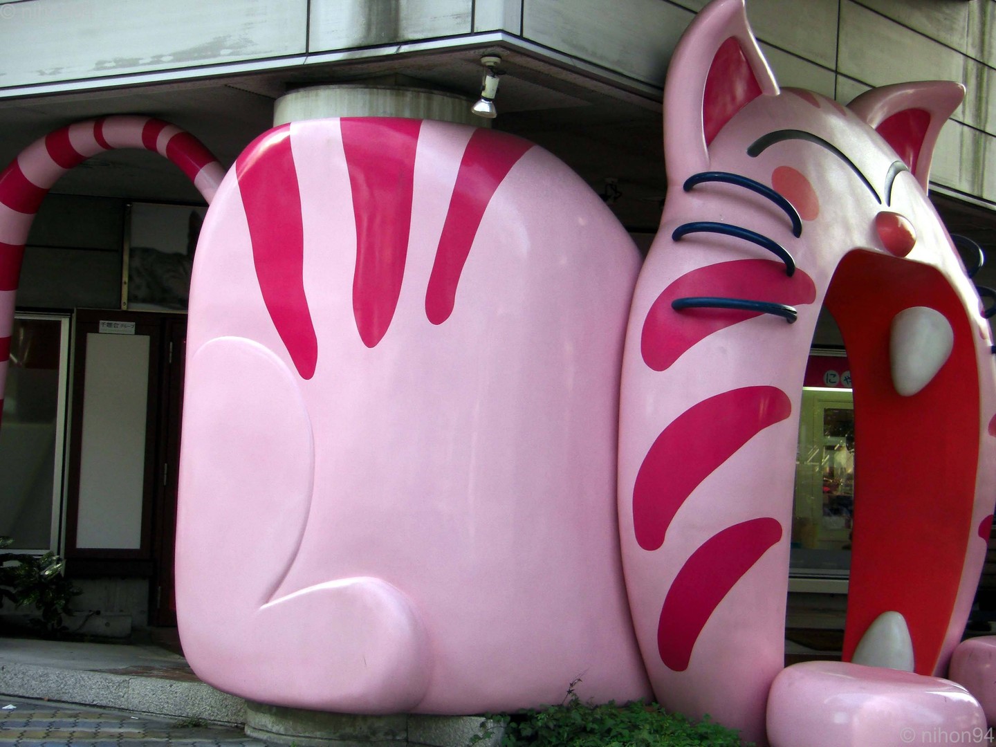 The Giant Cat in Japan