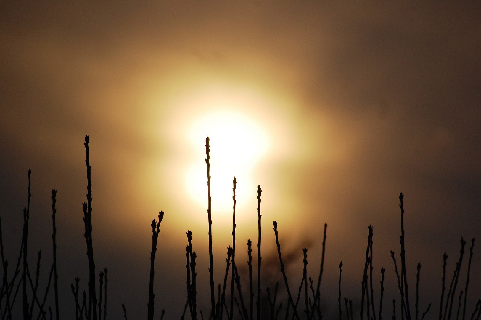Je länger der Tag, desto später die Nacht