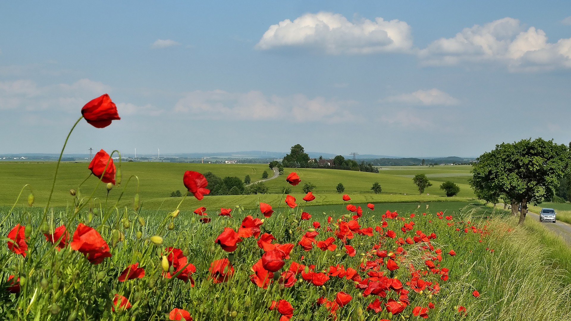 Farbtupfer in der Natur