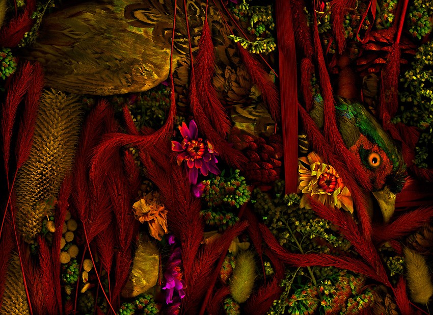 magic garden  mimikry