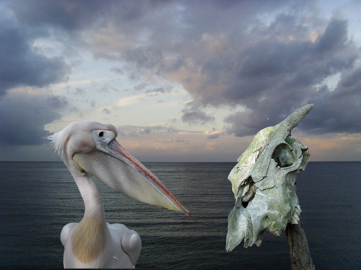 Warum sagst Du nichts ?