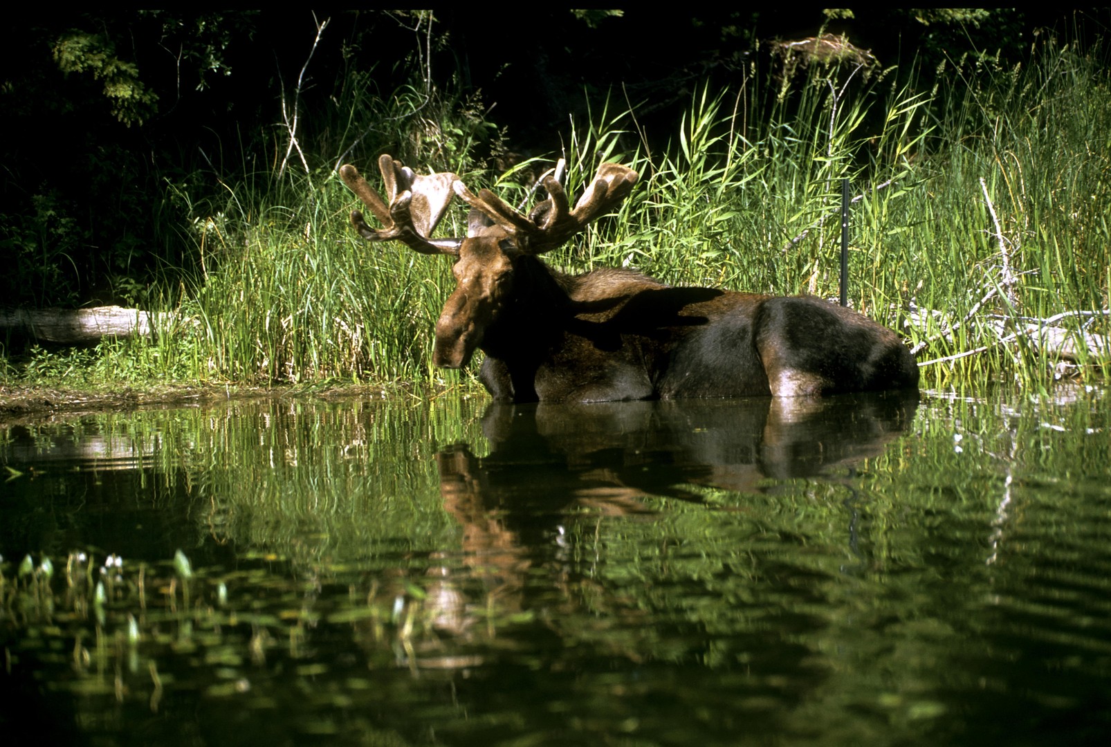 Puh - is das eine Hitze