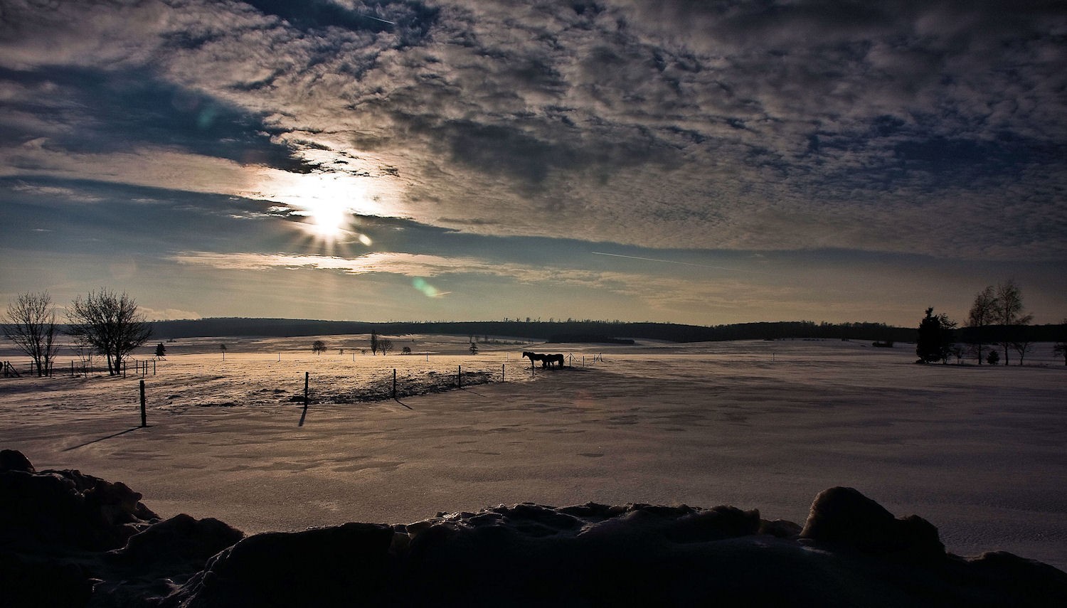 eiskalte Wintersonne