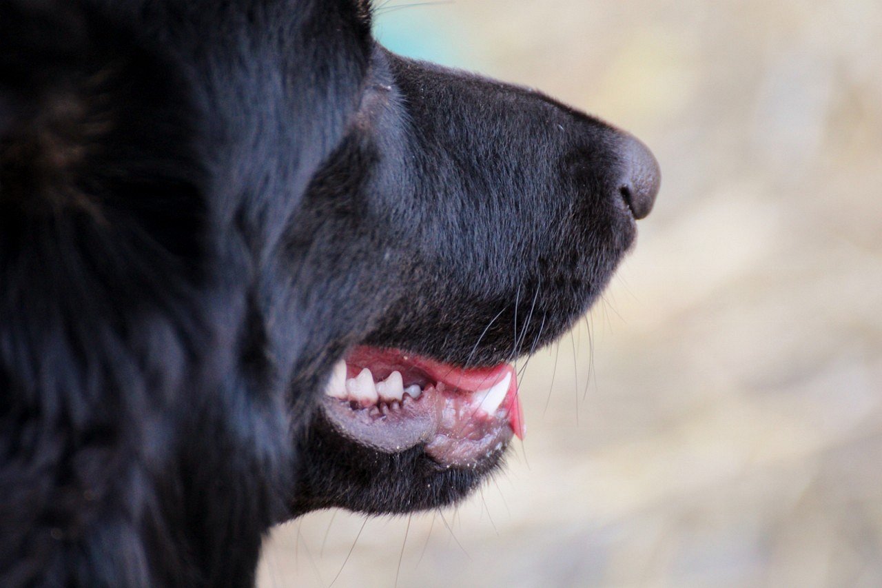 Unsere Schnüffelnase