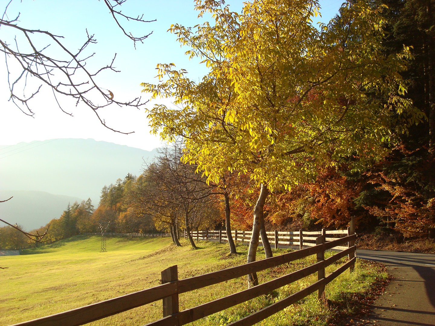  Herbststimmung