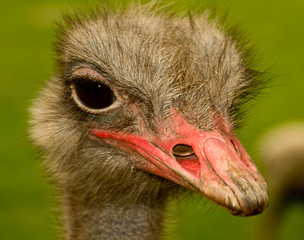 Kritischer Blick