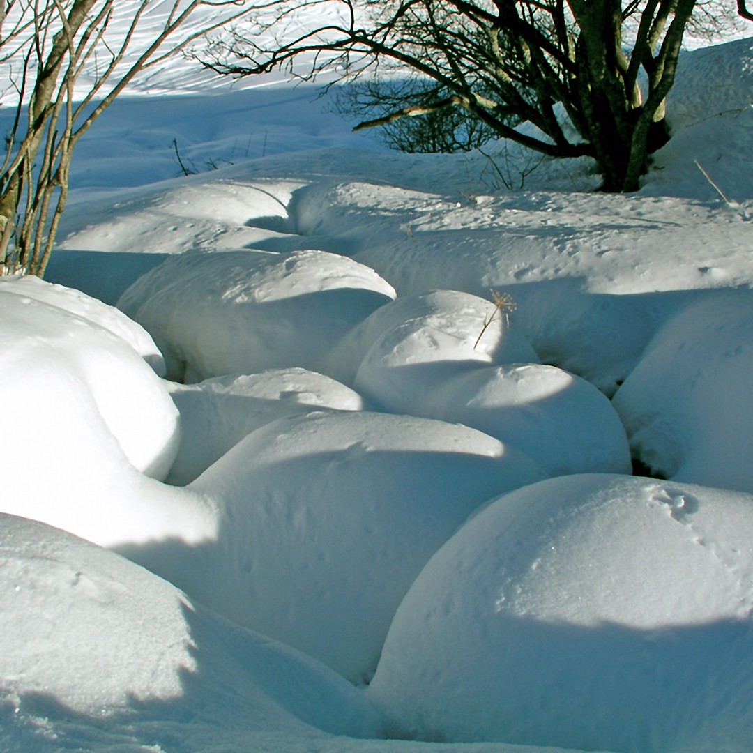 Schnee als Bildhauer