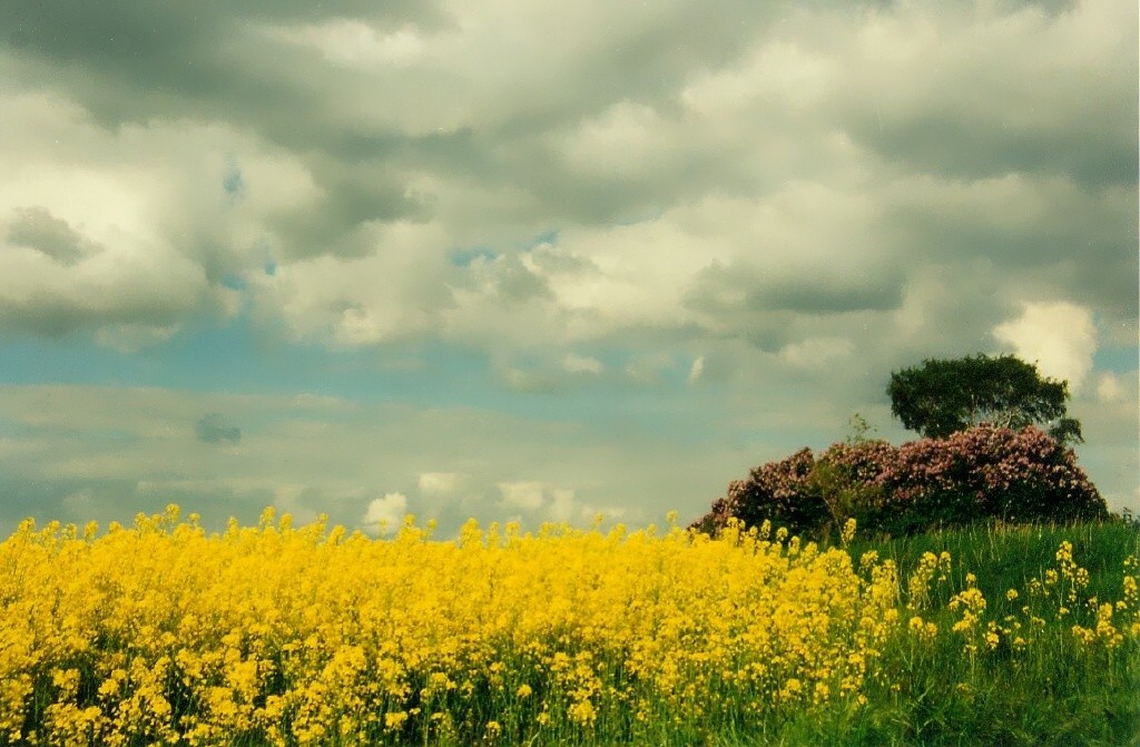 Wolken