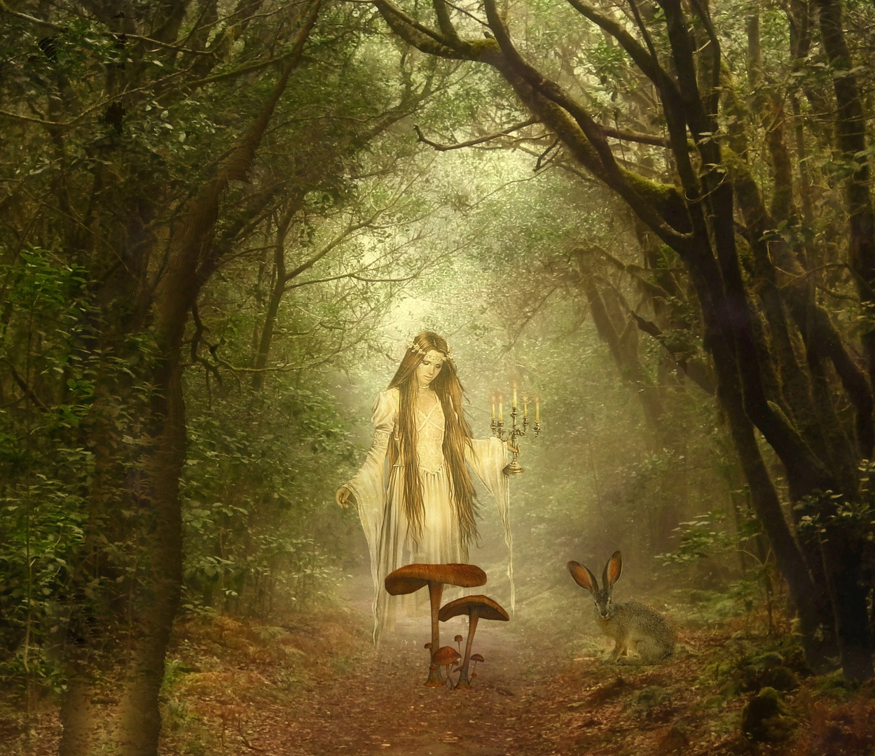 The forest fairy