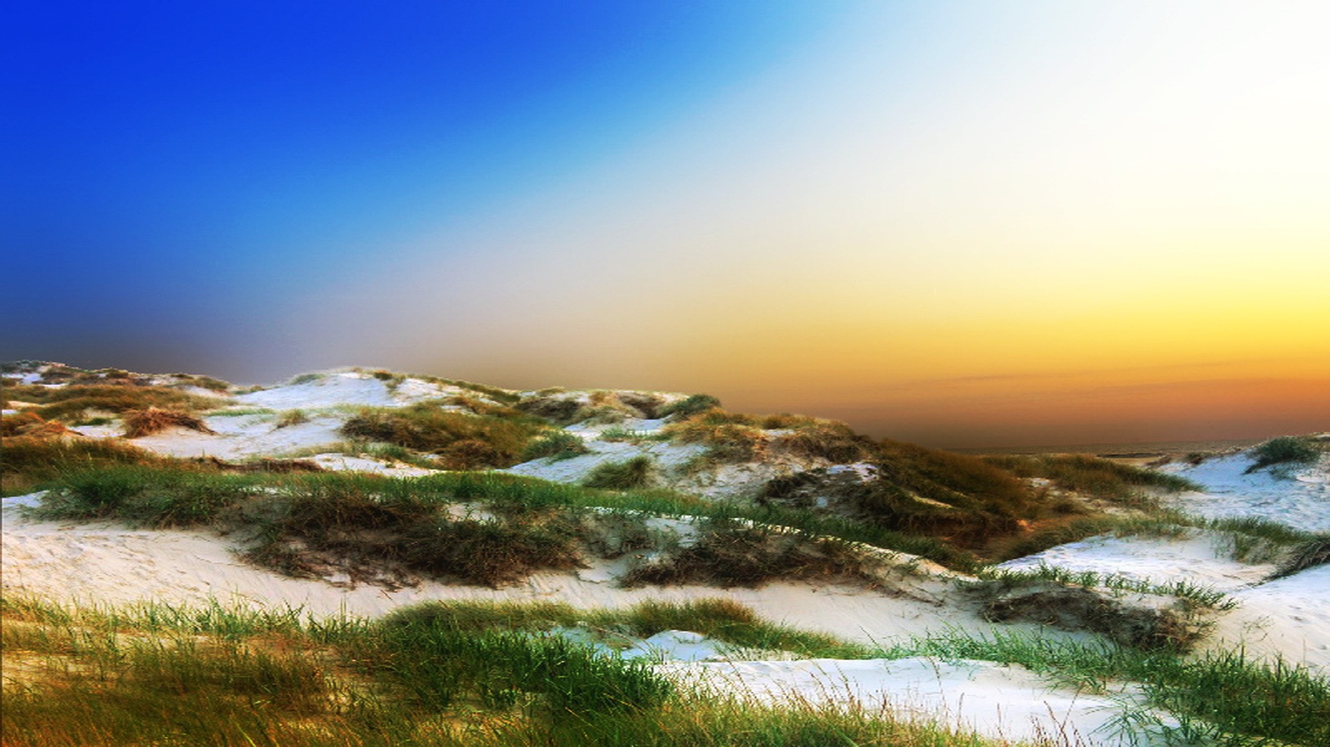 das Abendlicht spielt