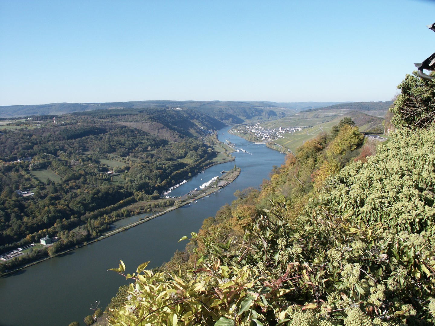Mosellauf