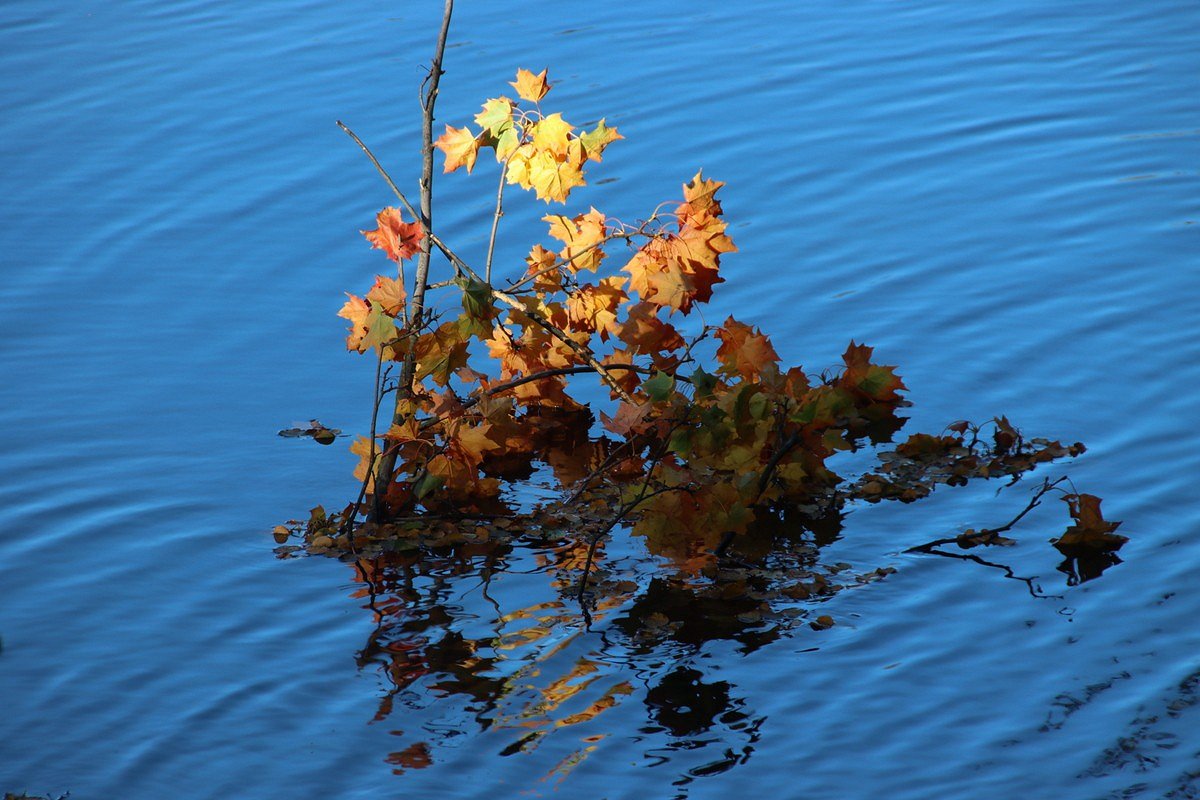 WasserSpiegel