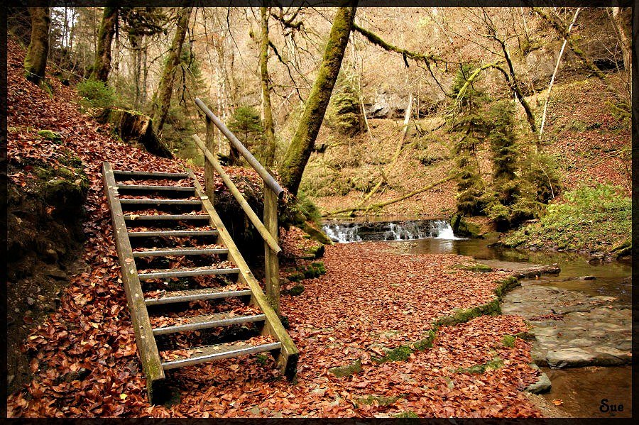 Stille Wutachschlucht