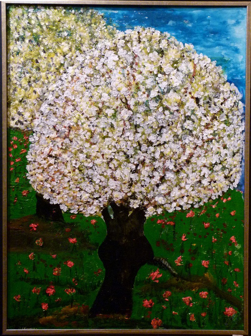 Apfelbaum in voller Blüte