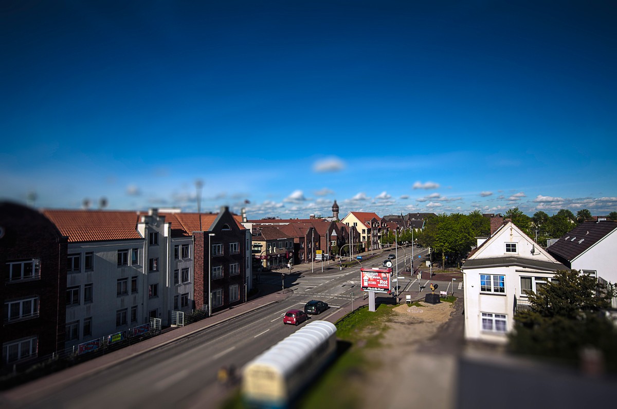 Heide in SHW