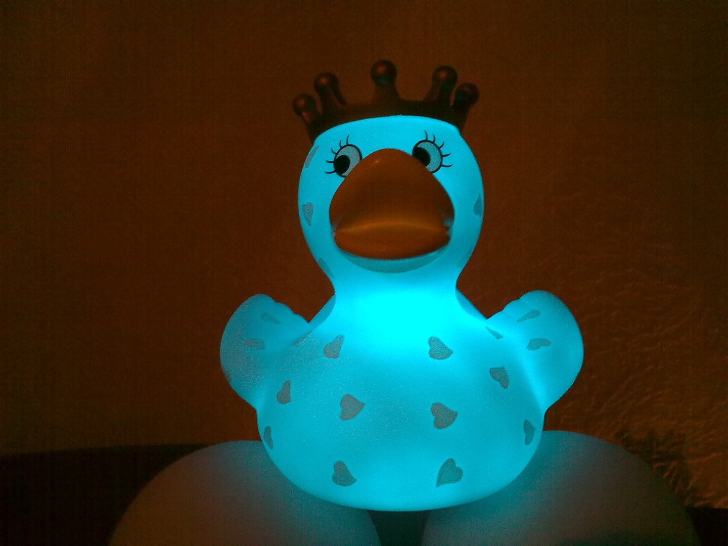 Brütende Ente