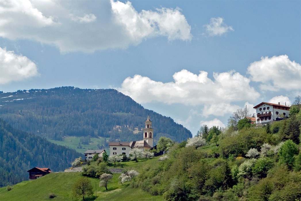 Bergfrühling in Alvaschein