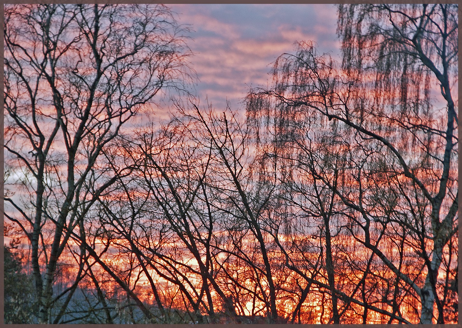 Gruss aus "Balkonien"