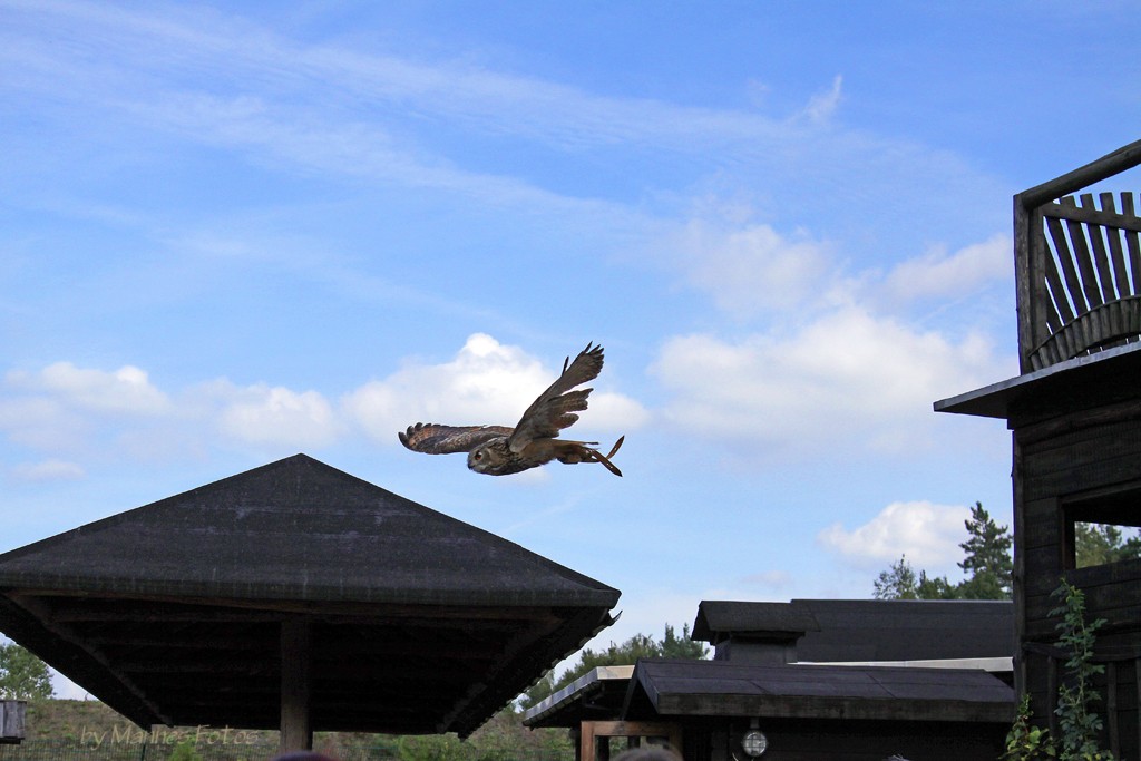 Guten Flug durch 2012