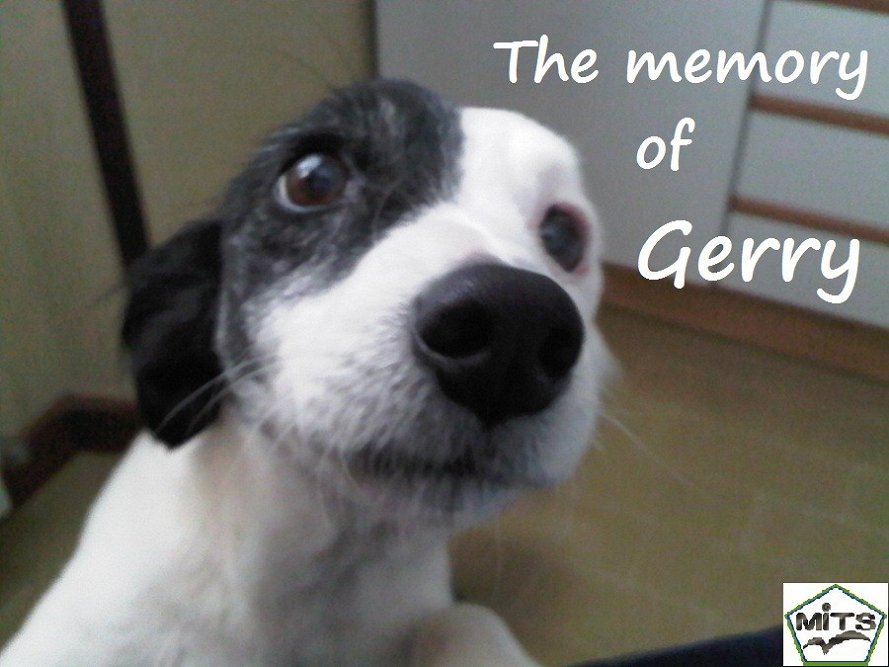 The Memory of Gerry