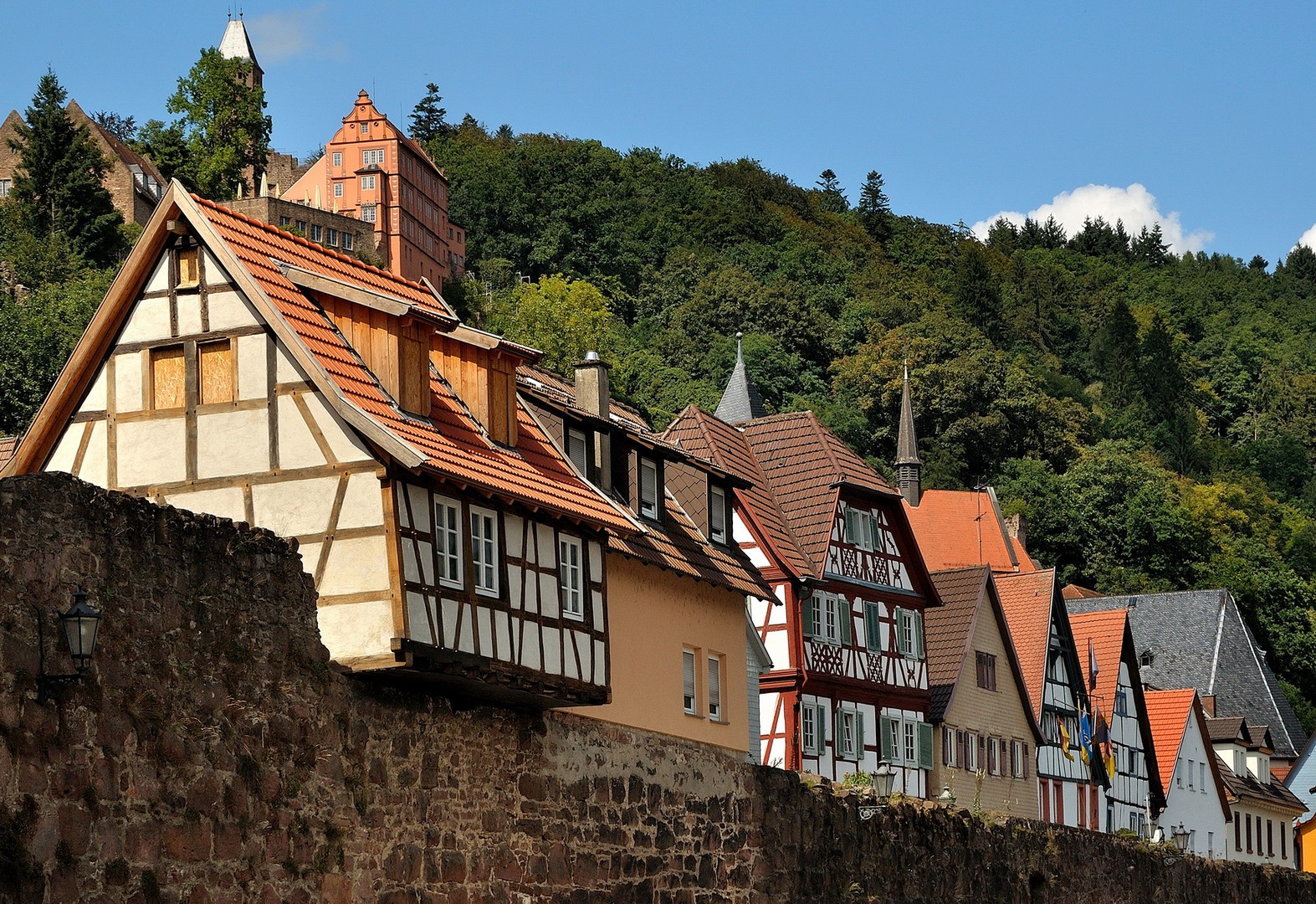 Hirschhorn an der Neckarschleife