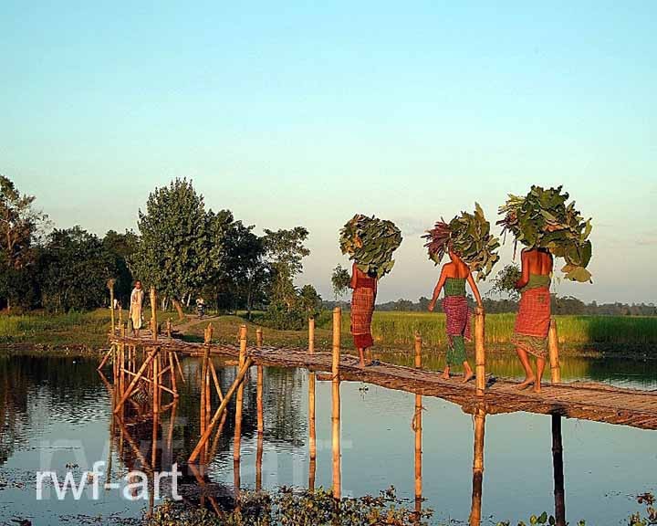 Frauen auf dem Heimweg vom Feld, Insel Majuli in Assam, Nordostindien